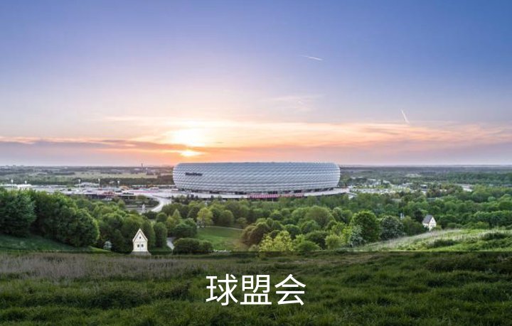 了解球盟会