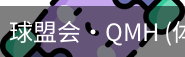 球盟会
